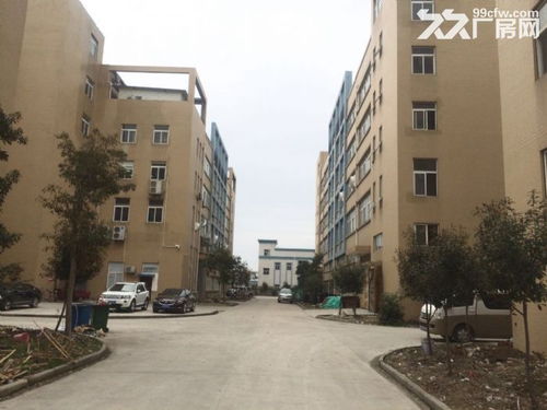 東西湖愛迪克斯工業園870平米全新標準廠房二樓出租僅剩一套